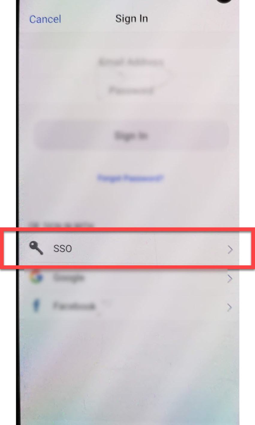 Login options with SSO highlighted
